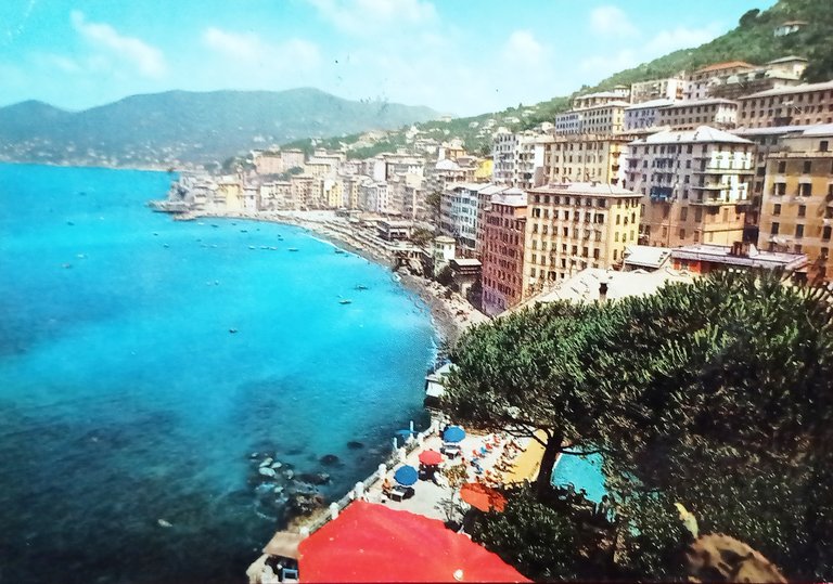 Cartolina - Golfo Paradiso - Camogli - Panorama - 1957