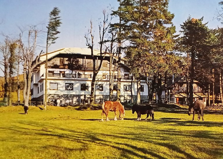 Cartolina - Grand Hotel Praglia - Piani di Praglia - …