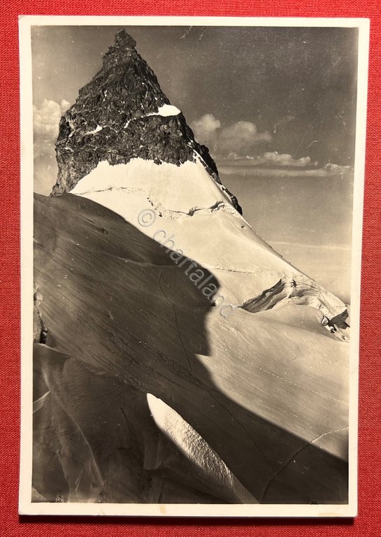 Cartolina - Gruppo del Bernina ( Sondrio ) - Cresta …