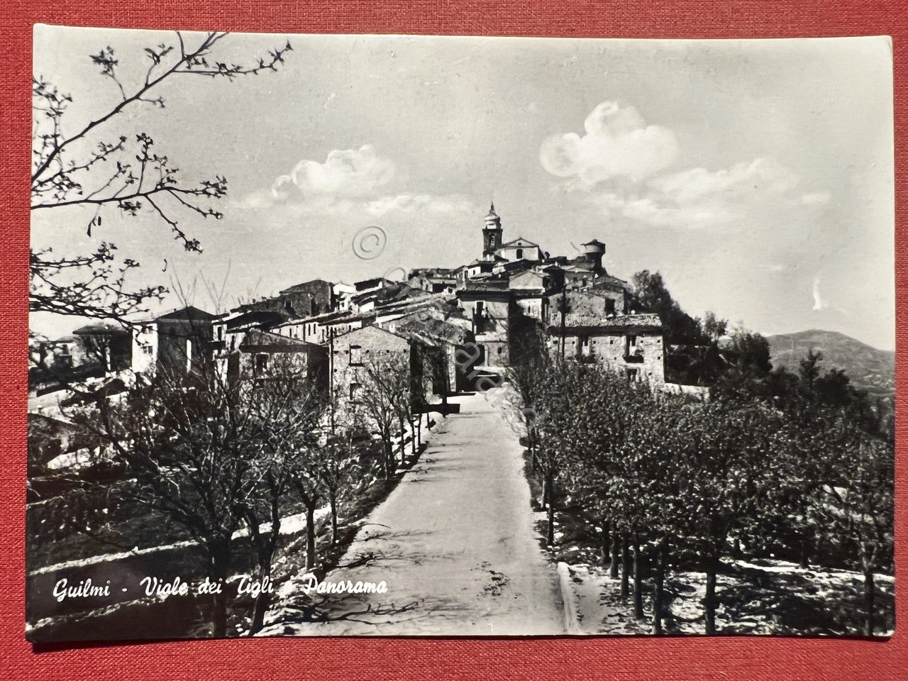 Cartolina - Guilmi ( Chieti ) - Viale dei Tigli … | Immagine principale