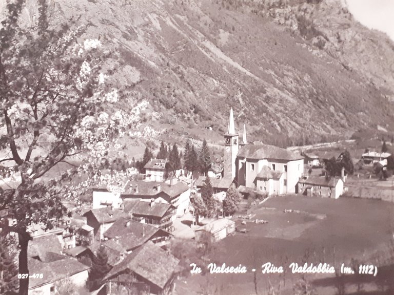 Cartolina - In Valsesia - Riva Valdobbia - 1959