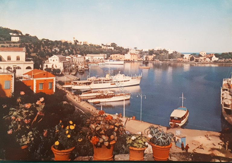Cartolina - Ischia - Il Porto - 1963