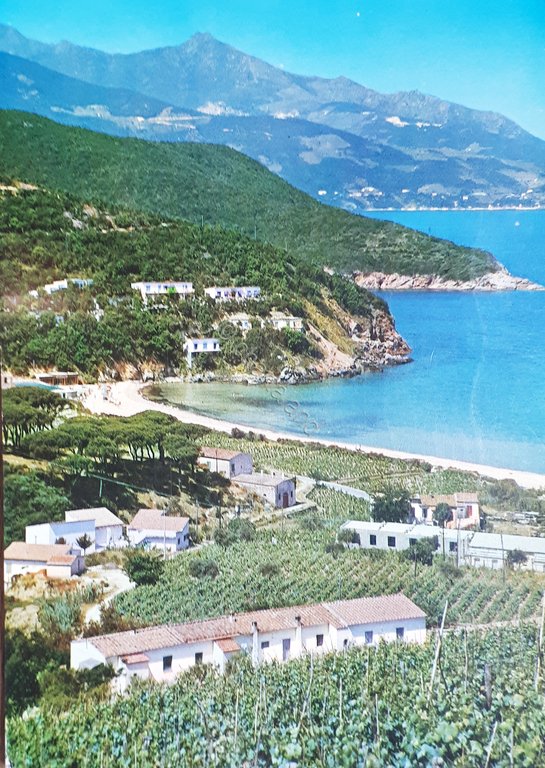 Cartolina - Isola d'Elba - Golfo della Biodola - Hotel …