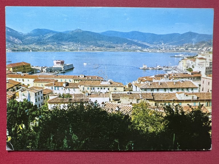 Cartolina - Isola d'Elba - Portoferraio ( Livorno ) - …