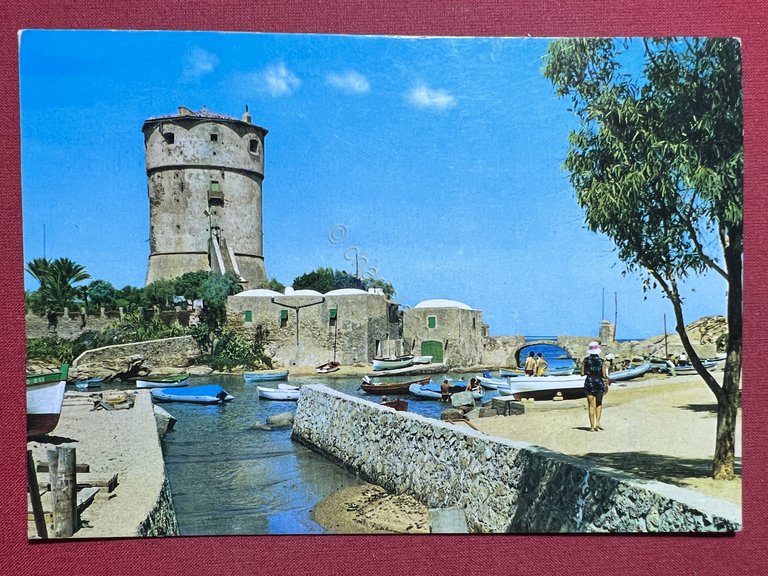 Cartolina - Isola del Giglio ( Grosseto ) - Campese …