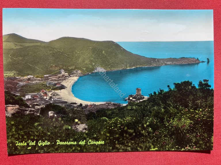 Cartolina - Isola del Giglio ( Grosseto ) - Panorama …