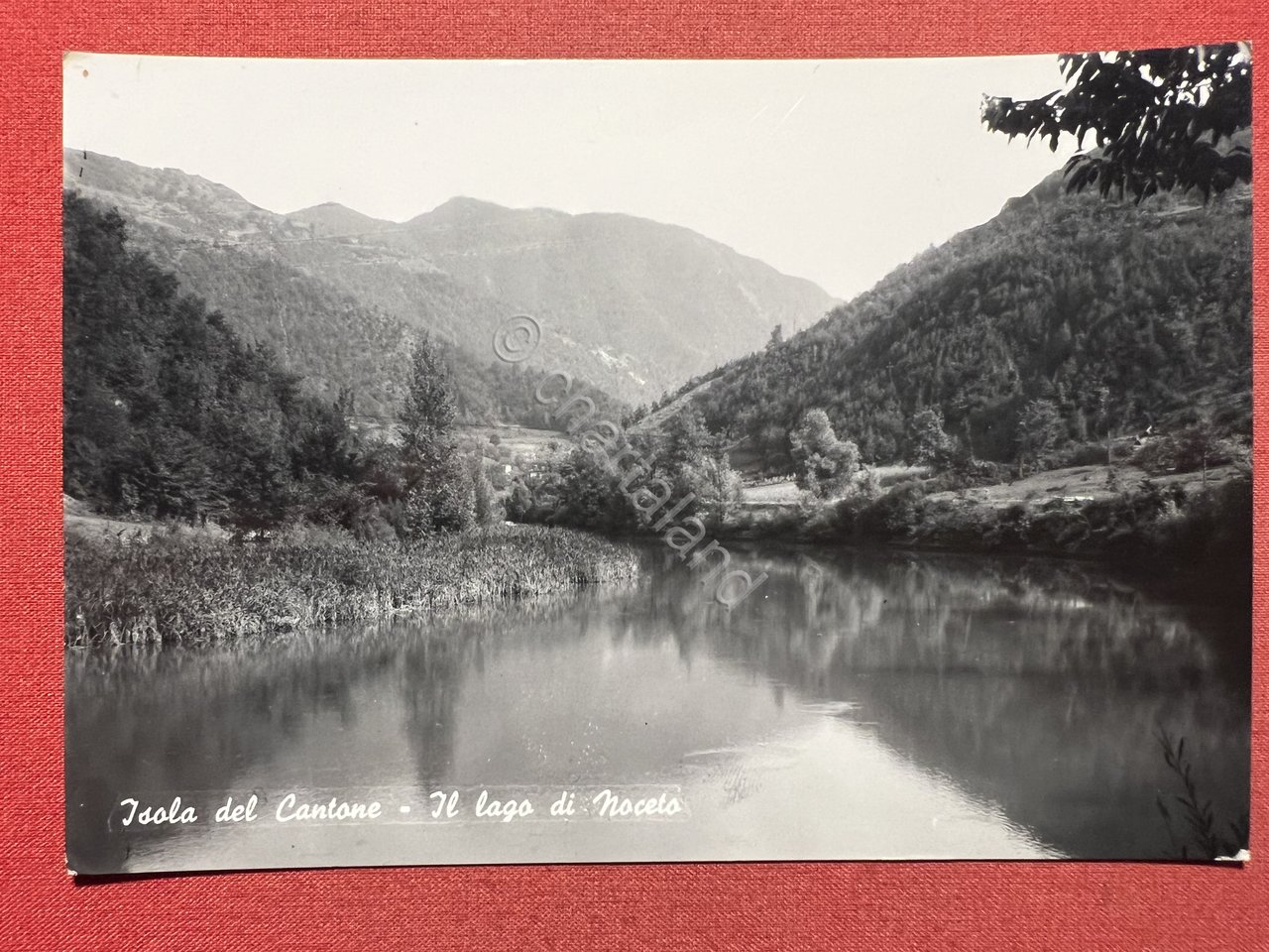 Cartolina - Isole del Cantone ( Genova ) - Il …