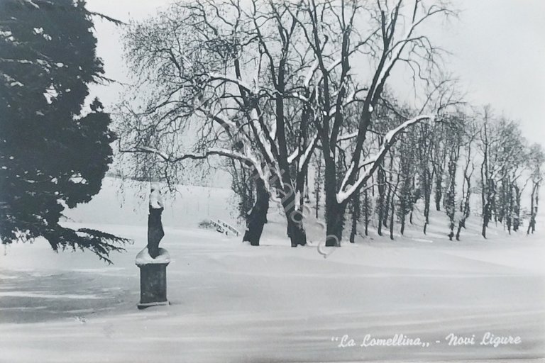 Cartolina - La Lomellina - Novi Ligure - 1960 ca