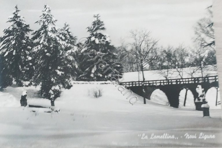 Cartolina - La Lomellina - Novi Ligure - 1965 ca.