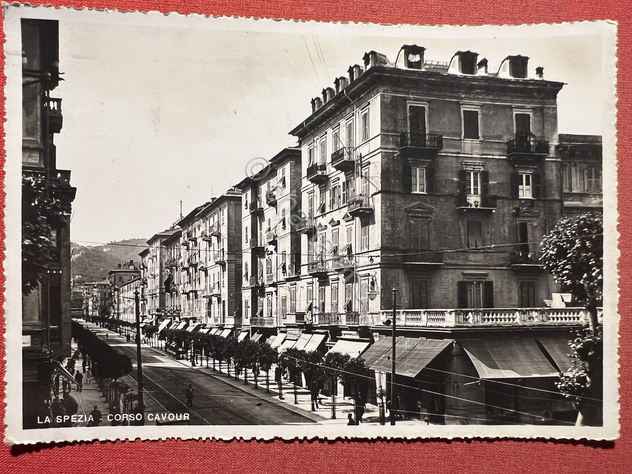 Cartolina - La Spezia - Corso Cavour - 1938