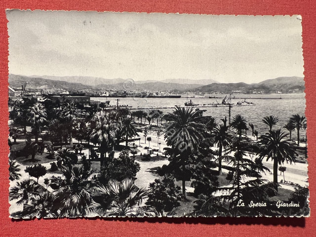 Cartolina - La Spezia - Giardini - 1952
