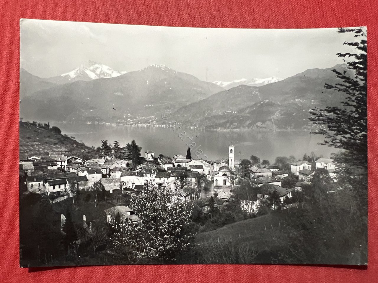 Cartolina - Lago di Como - Croce - Panorama 1961 | Immagine principale