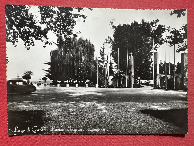 Cartolina - Lago di Garda - Lazise ( Verona ) …