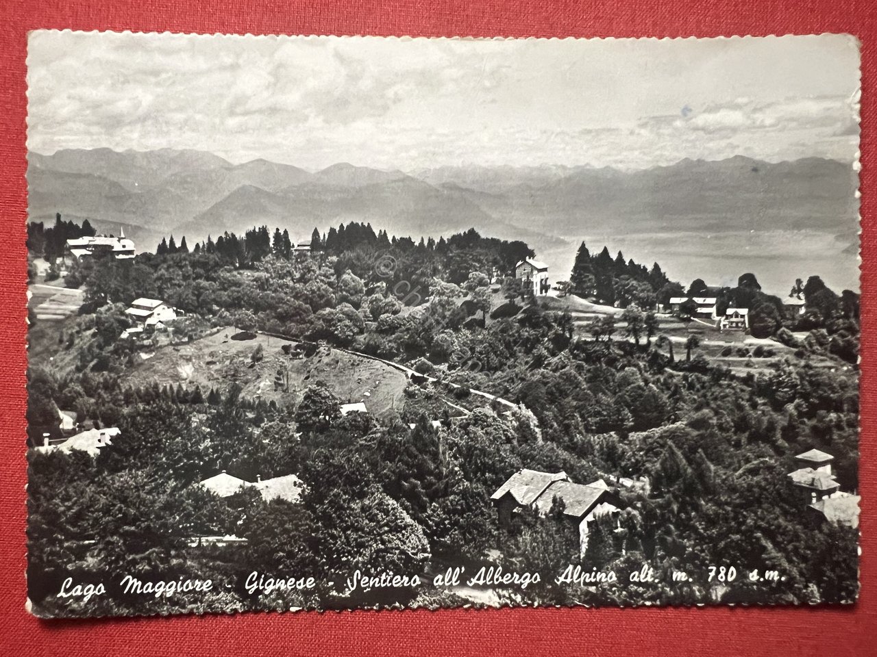 Cartolina - Lago Maggiore - Gignese - Sentiero all'Albergo Alpino …