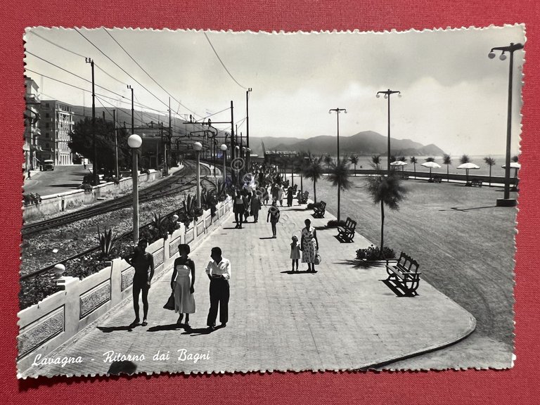 Cartolina - Lavagna ( Genova ) - Ritorno dai Bagni … | Immagine Gallery 3