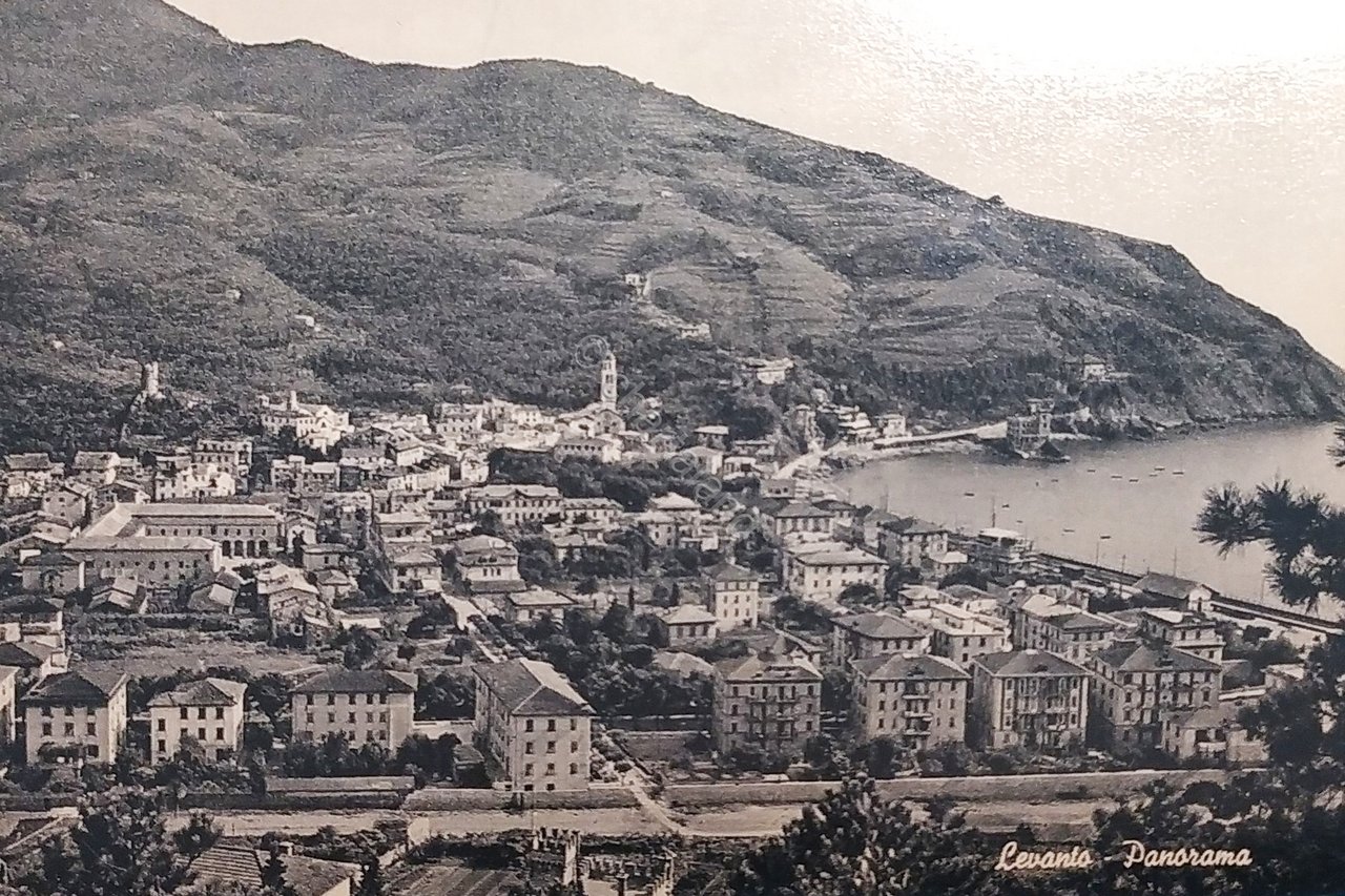 Cartolina - Levanto - Panorama - 1950 ca.