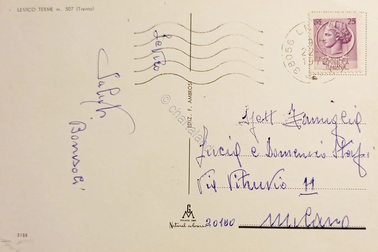 Cartolina - Levico Terme ( Trento ) - Vedute diverse …