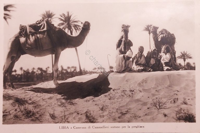 Cartolina - Libia - Carovana di Cammellieri sostano per la …