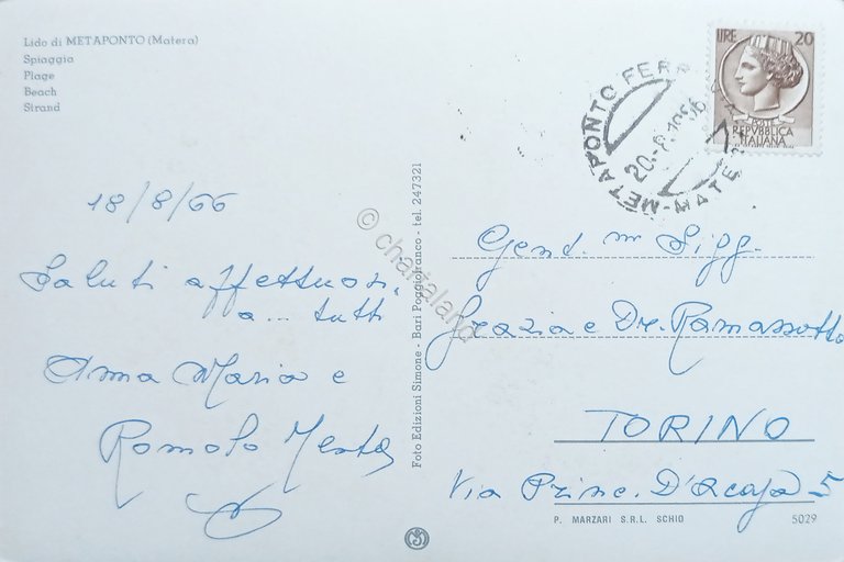 Cartolina - Lido di Metaponto ( Matera ) - Spiaggia …