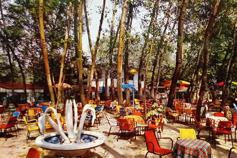 Cartolina - Lido di Predosa - Giardino - 1970