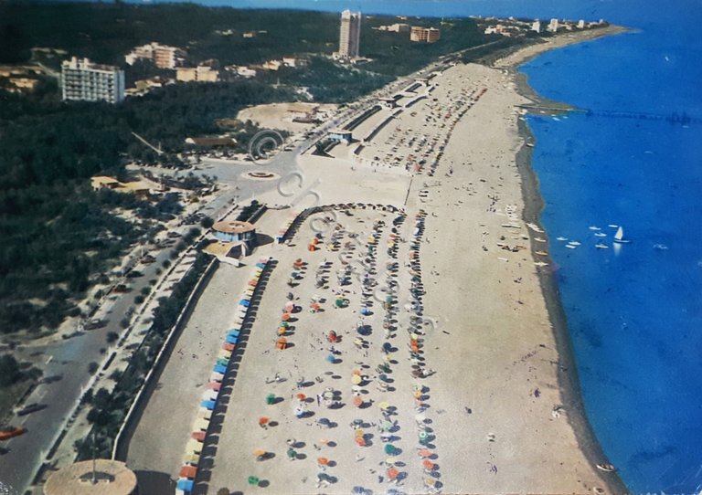 Cartolina - Lignano Pineta - La Spiaggia dall'aereo - 1962