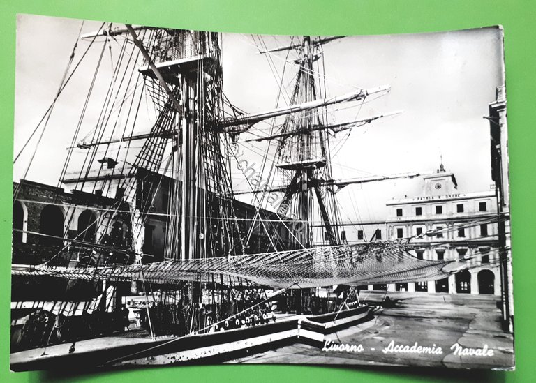 Cartolina - Livorno - Accademia Navale - 1962 | Immagine Gallery 4