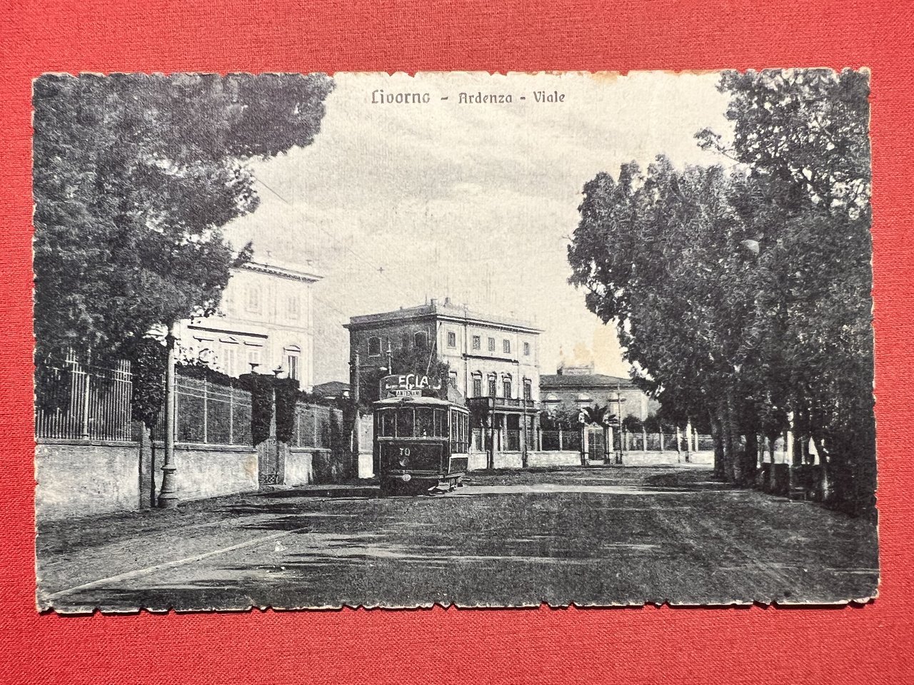 Cartolina - Livorno - Ardenza - Viale - 1920 ca.