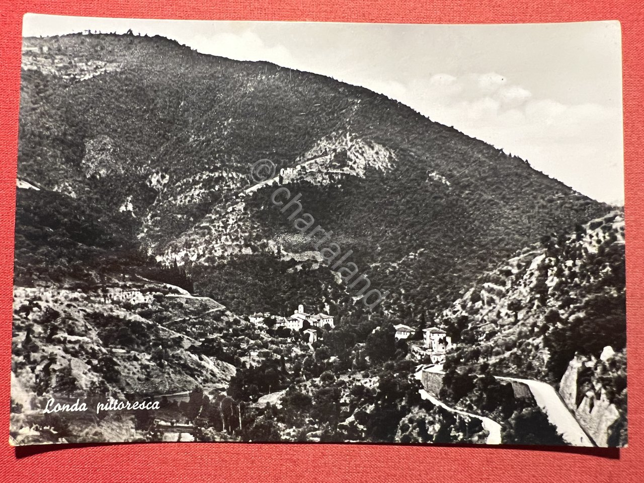 Cartolina - Londa ( Firenze ) - Panorama - 1955