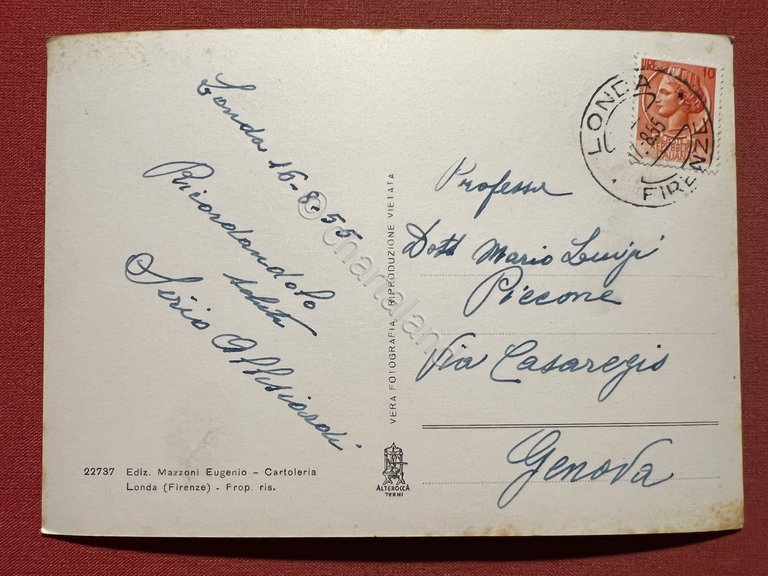 Cartolina - Londa ( Firenze ) - Panorama - 1955