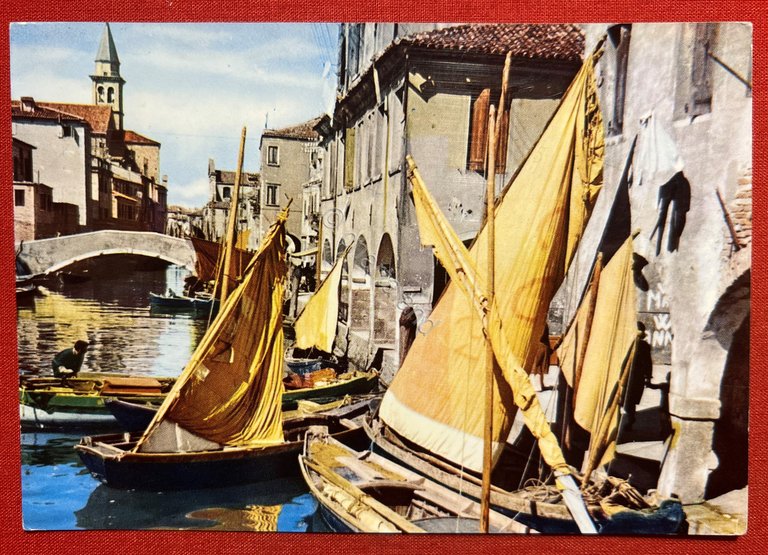 Cartolina - Luci e Colori d'Italia - Chioggia - 1969 | Immagine Gallery 3