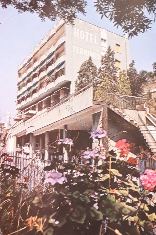 Cartolina - M. Hotel Terminus - Via G. Italia - …