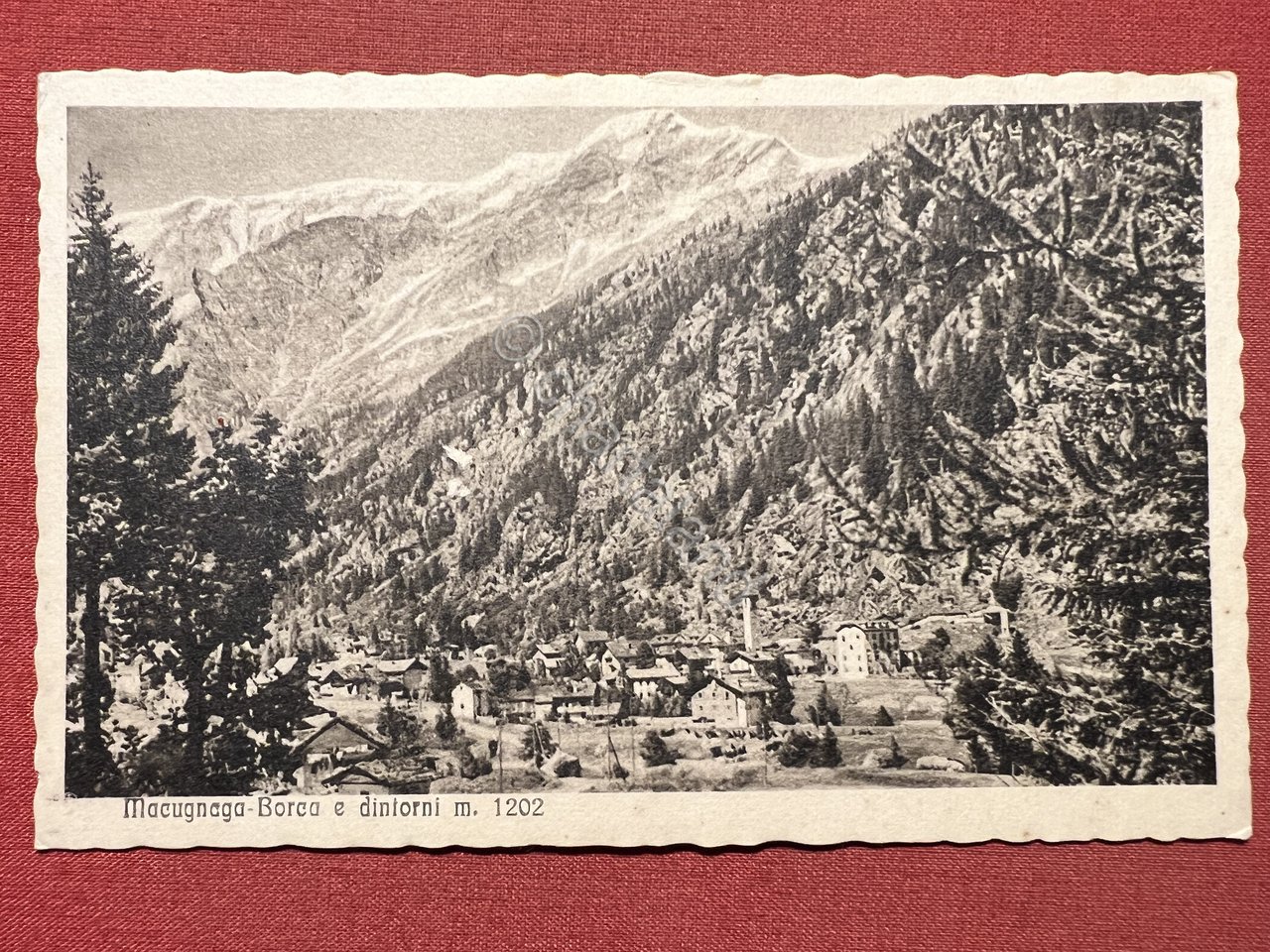 Cartolina - Macugnaga - Borca e Dintorni - 1925 ca.