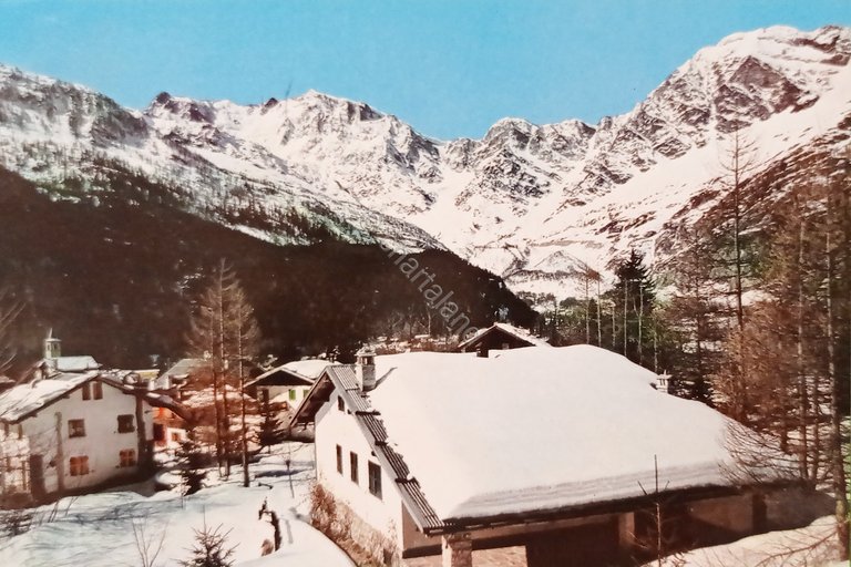 Cartolina - Macugnaga - Panorama e Monte Rosa - 1971