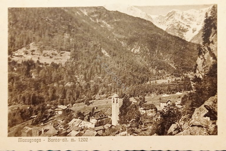 Cartolina - Macugnaga ( Verbano Cusio Ossola ) - Borca …