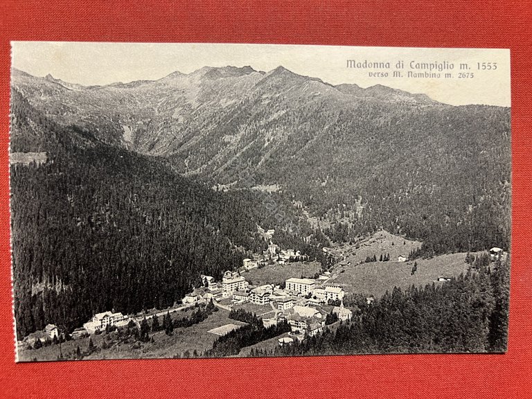 Cartolina - Madonna di Campiglio ( Trento ) verso M. …