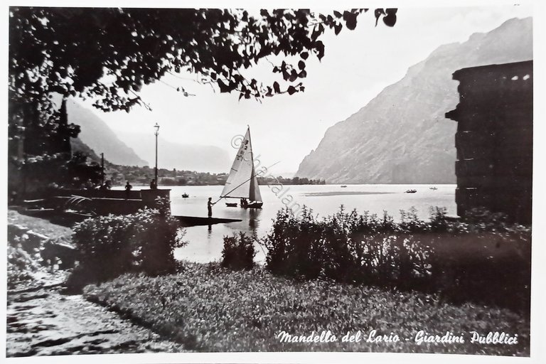 Cartolina - Mandello del Lario - Giardini Pubblici - 1960