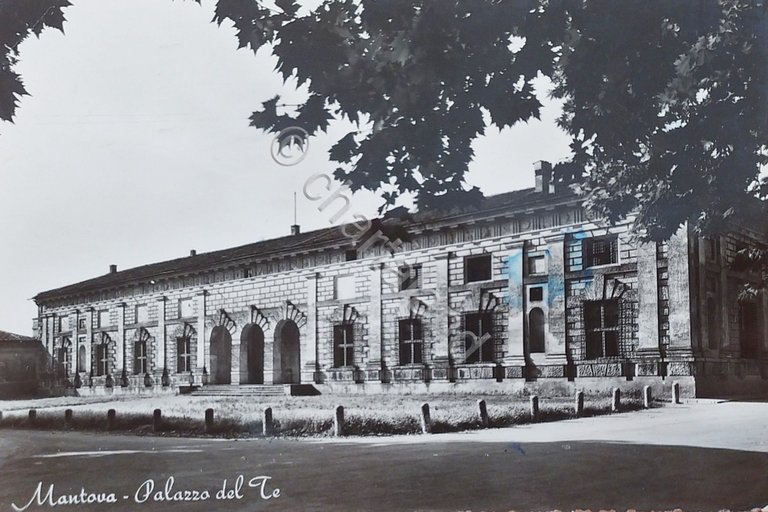Cartolina - Mantova - Palazzo del Te - 1955