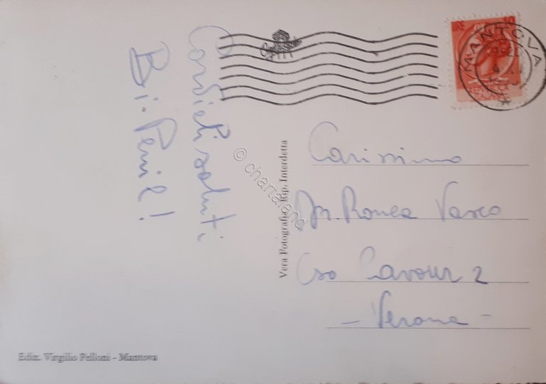 Cartolina - Mantova - Palazzo del Te - 1955