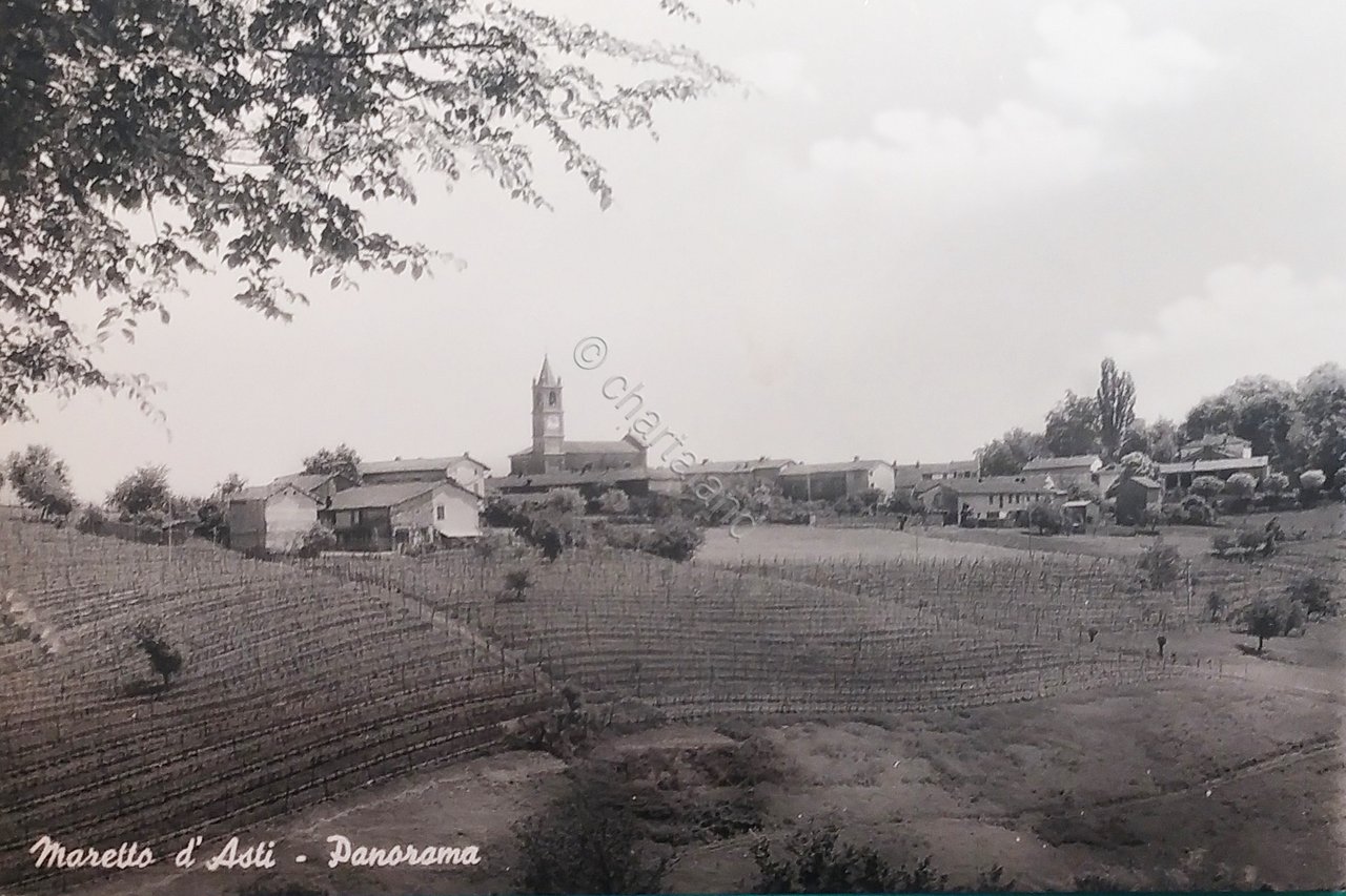 Cartolina - Maretto d'Asti - Panorama - 1955 ca.