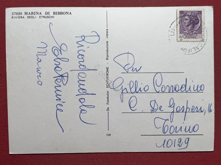 Cartolina - Marina di Bibbona ( Livorno ) - Riviera …