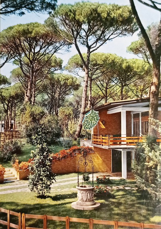 Cartolina - Marina di Castagneto - Carducci - Donoratico - …