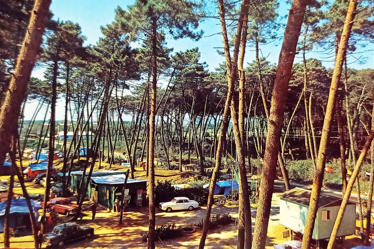 Cartolina - Marina di Massa - Camping - 1967