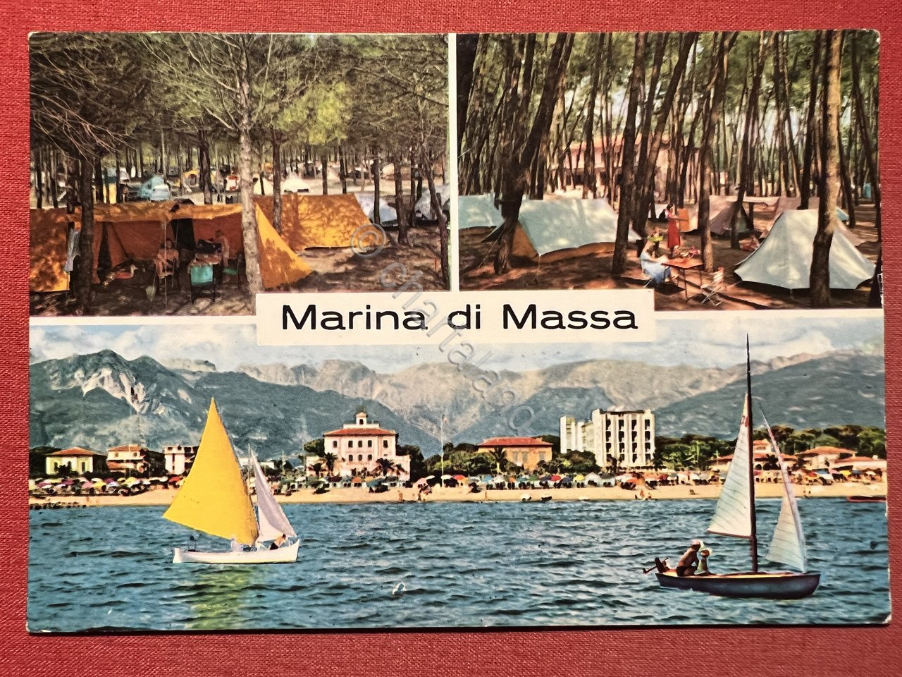 Cartolina - Marina di Massa - Vedute diverse - 1966