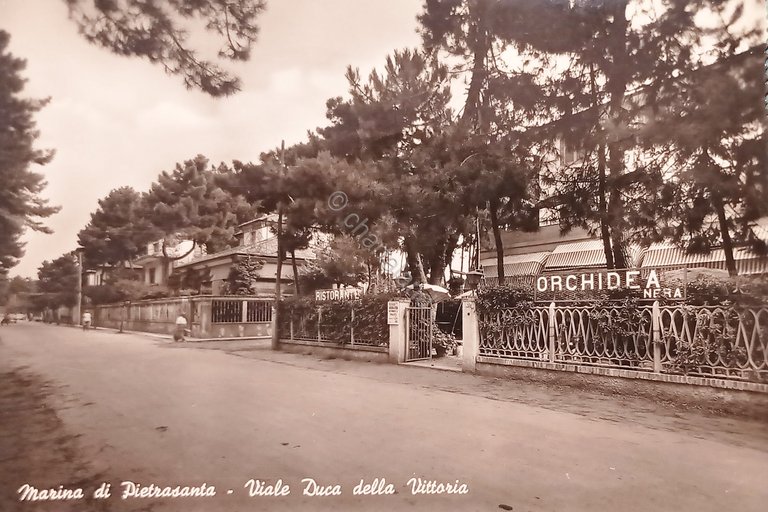 Cartolina - Marina di Pietrasanta - Viale Duca della Vittoria …