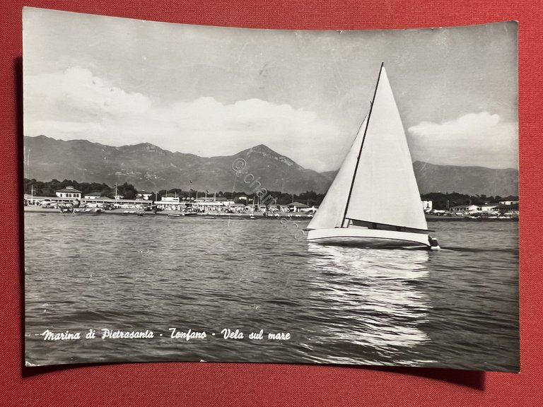 Cartolina - Marina di Pietrasanta ( Lucca ) - Tonfano …