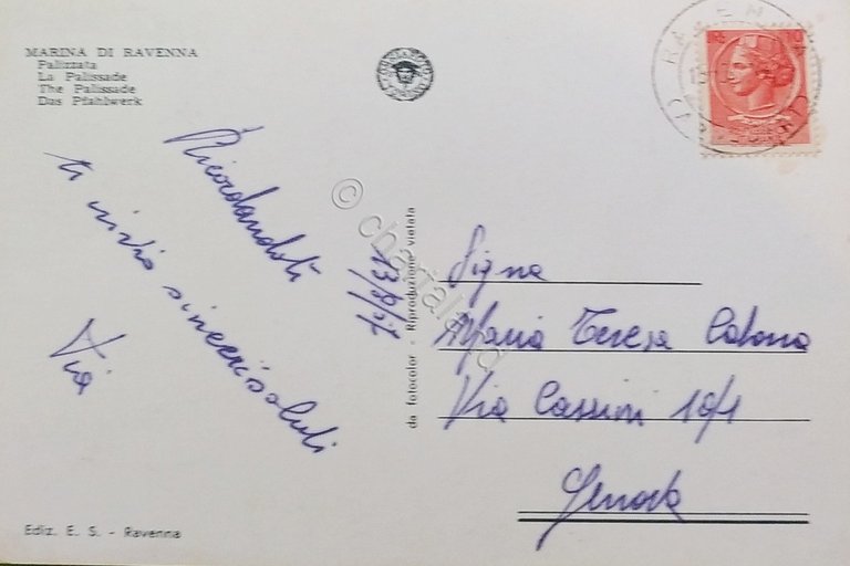 Cartolina - Marina di Ravenna - Palizzata - 1957 | Immagine Gallery 4