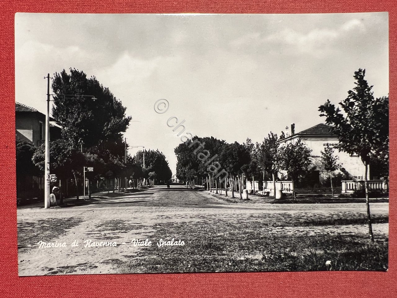 Cartolina - Marina di Ravenna - Viale Spalato - 1950 … | Immagine principale