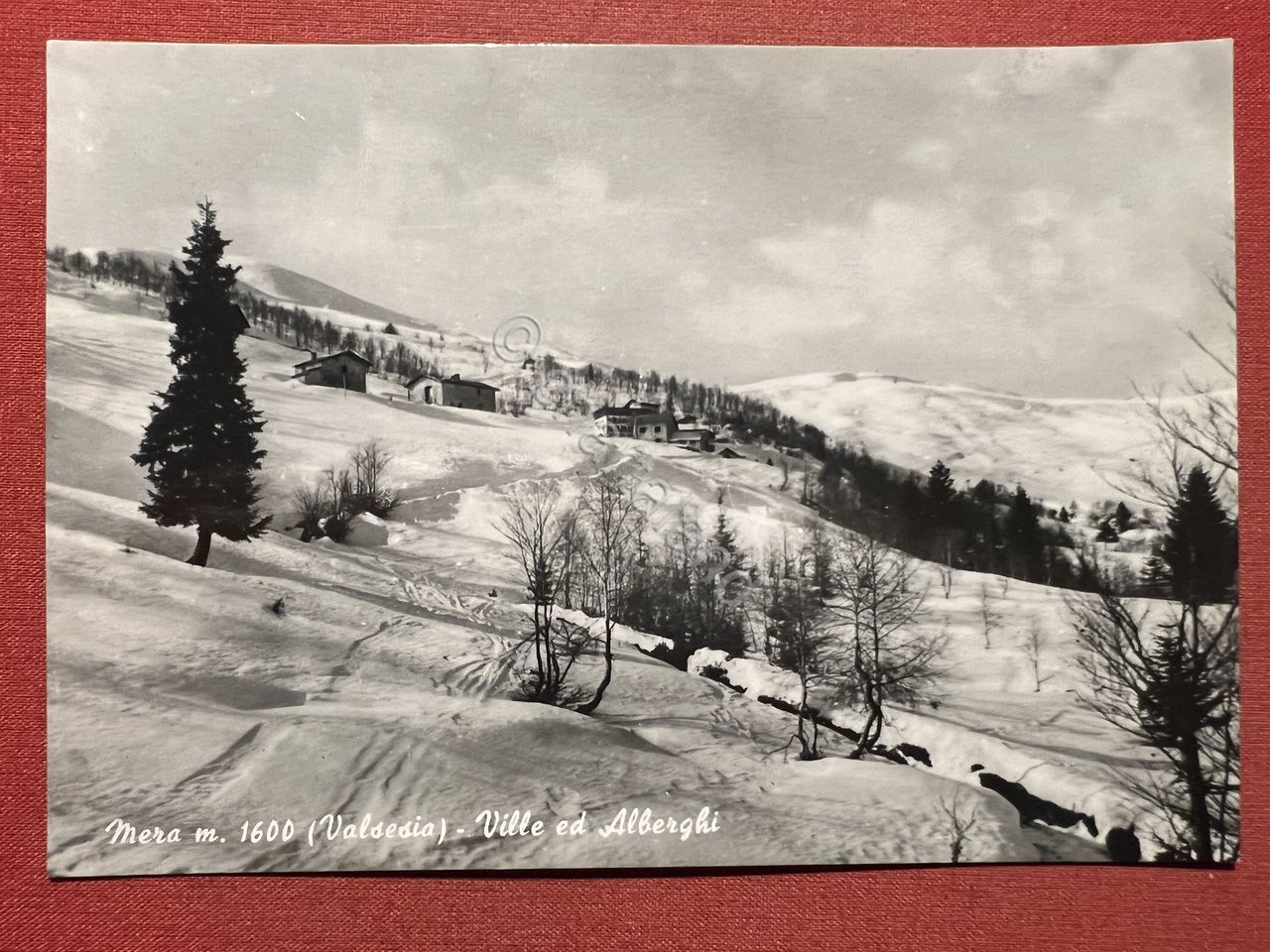 Cartolina - Mera ( Vercelli ) - Ville ed Alberghi …