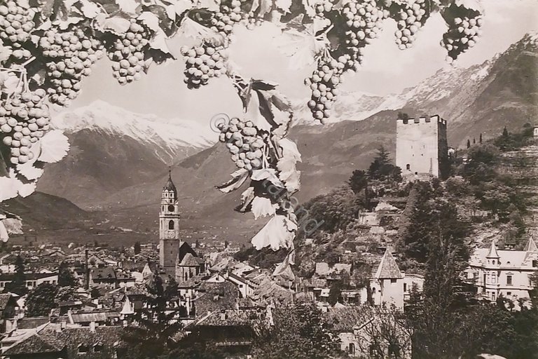 Cartolina - Merano ( Bolzano ) - Panorama - 1960 …