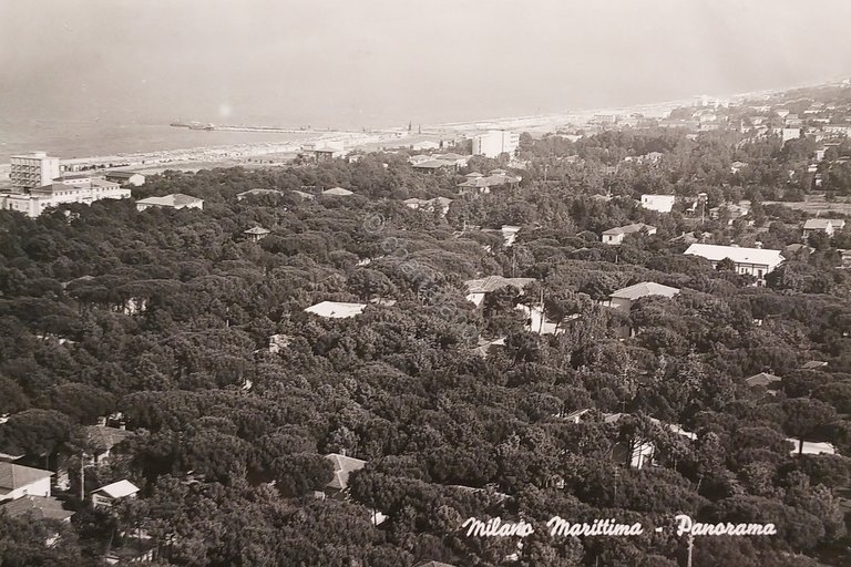 Cartolina - Milano Marittima - Panorama - 1959